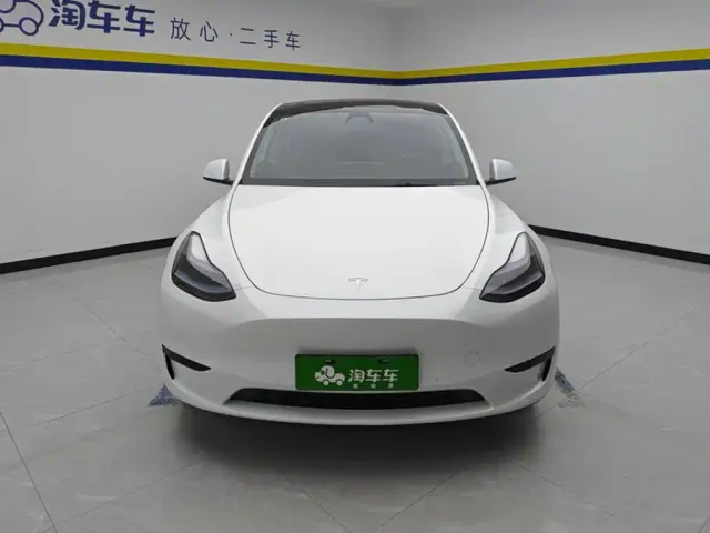 Tesla Model Y — Фото автомобиля 2