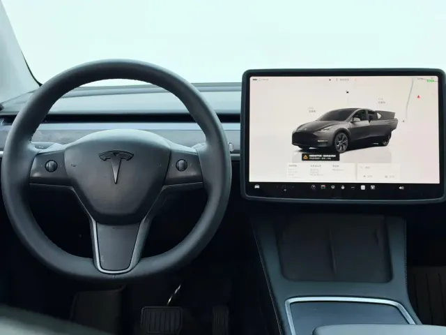 Tesla Model Y — Фото автомобиля 5