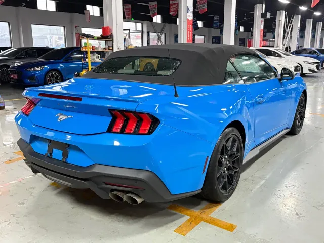 Ford Mustang — Фото автомобиля 17