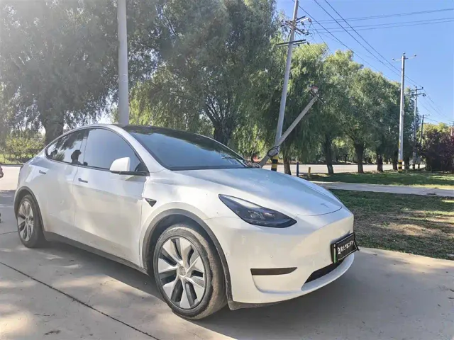 Tesla Model Y — Фото автомобиля 2