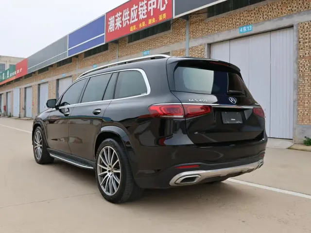 Mercedes-Benz GLS-Class — Фото автомобиля 19