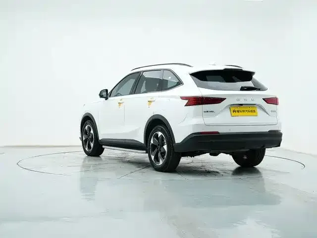 Haval Haval H6L 2026 2.0T Standard Model — Фото автомобиля 4