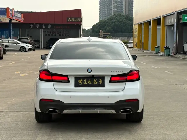 BMW 5 Series — Фото автомобиля 20