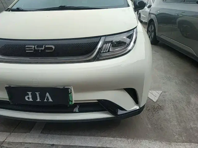 BYD Dolphin — Фото автомобиля 23