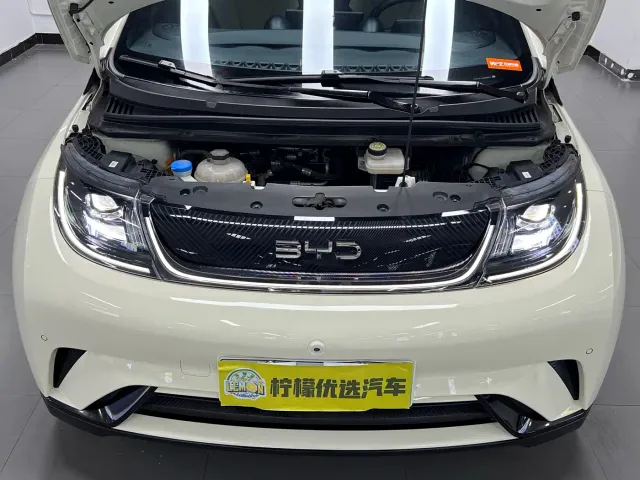 BYD Dolphin — Фото автомобиля 12