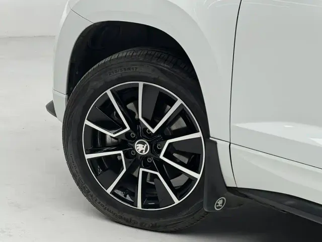 Skoda Karoq — Фото автомобиля 14