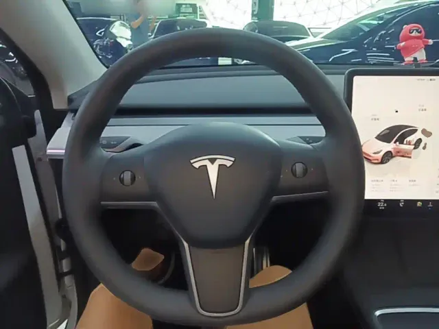Tesla Model Y — Фото автомобиля 10