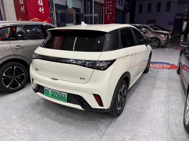 BYD Dolphin — Фото автомобиля 16
