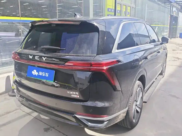 Wey Lanshan — Фото автомобиля 3