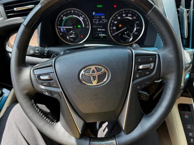 Toyota Alphard — Фото автомобиля 15
