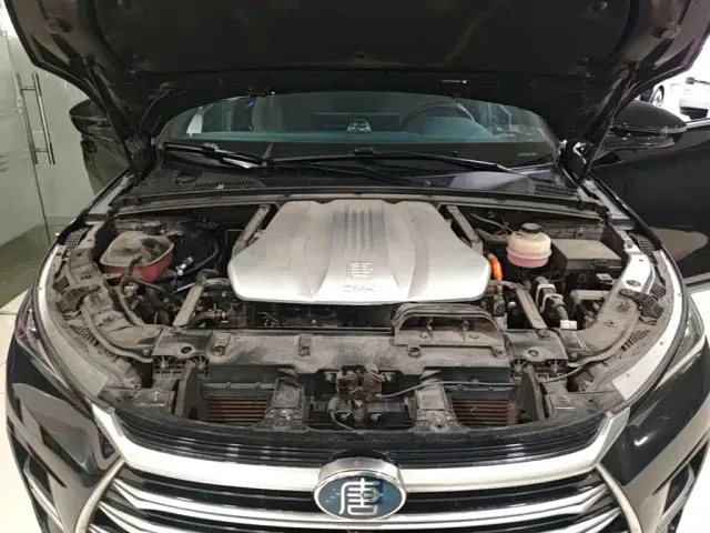 BYD Tang New Energy 2021 DM-i 112KM Honor — Фото автомобиля 19
