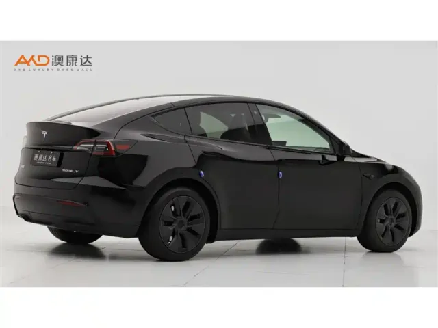 Tesla Model Y — Фото автомобиля 3
