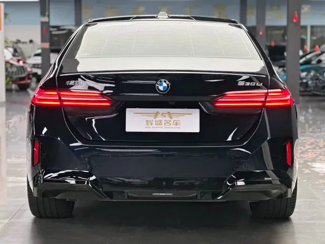 BMW 5 Series — Фото автомобиля 4