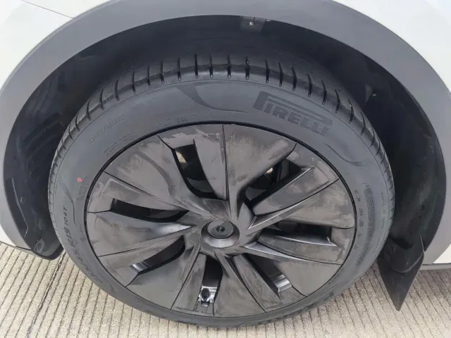 Tesla Model Y — Фото автомобиля 20