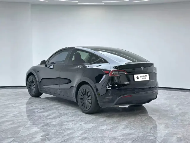 Tesla Model Y — Фото автомобиля 3