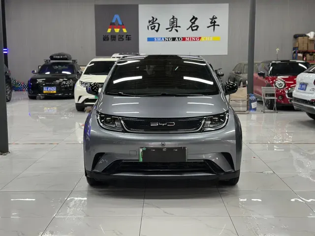 Фотография автомобиля — BYD Dolphin