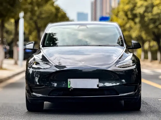 Tesla Model Y — Фото автомобиля 2