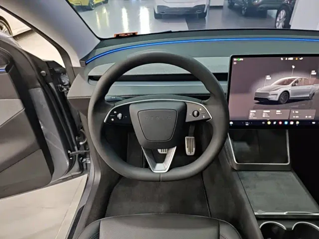 Tesla Model Y — Фото автомобиля 10