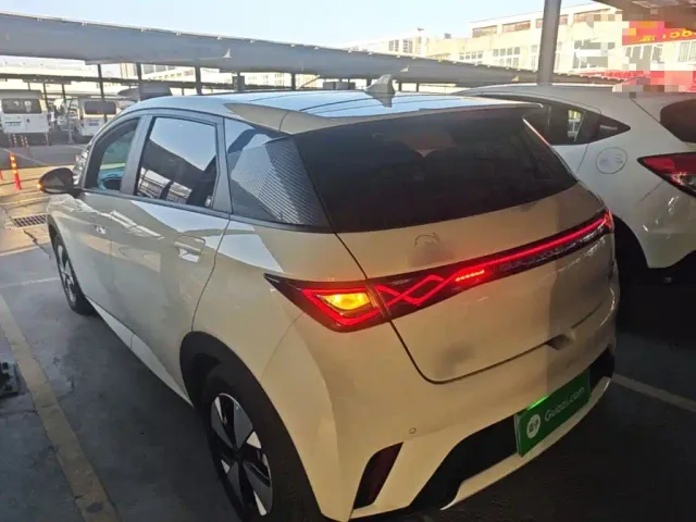 BYD Dolphin — Фото автомобиля 4