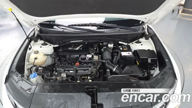 Hyundai Tucson Tucson (NX4) Бензин 1.6 турбо 2WD — Фото автомобиля 6