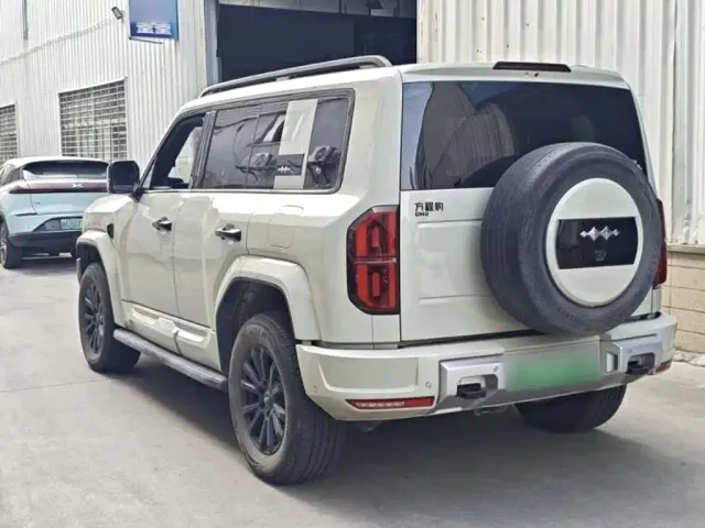BYD FangChengBao Leopard 5 — Фото автомобиля 4