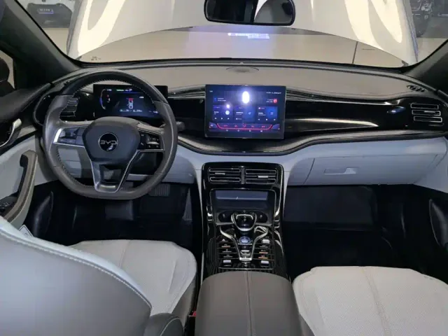 BYD Qin PLUS — Фото автомобиля 9