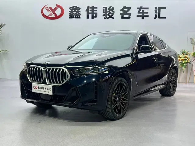 BMW X6 — Фото автомобиля 2