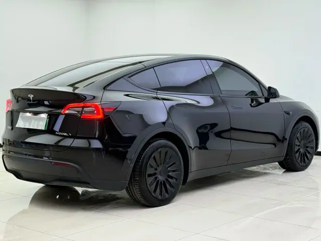 Tesla Model Y — Фото автомобиля 13