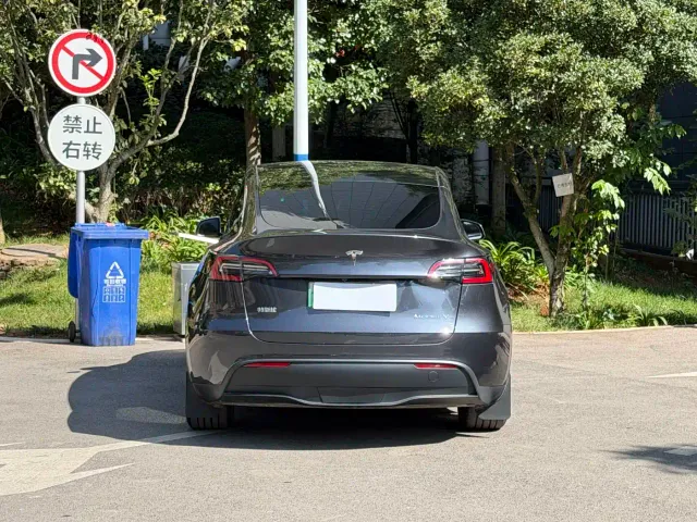 Tesla Model Y — Фото автомобиля 8