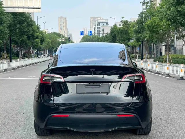 Tesla Model Y — Фото автомобиля 13