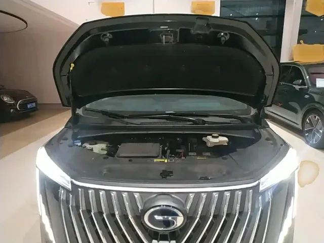 GAC Trumpchi M8 — Фото автомобиля 19