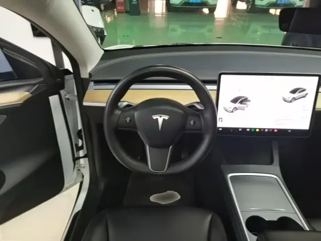 Tesla Model Y — Фото автомобиля 10