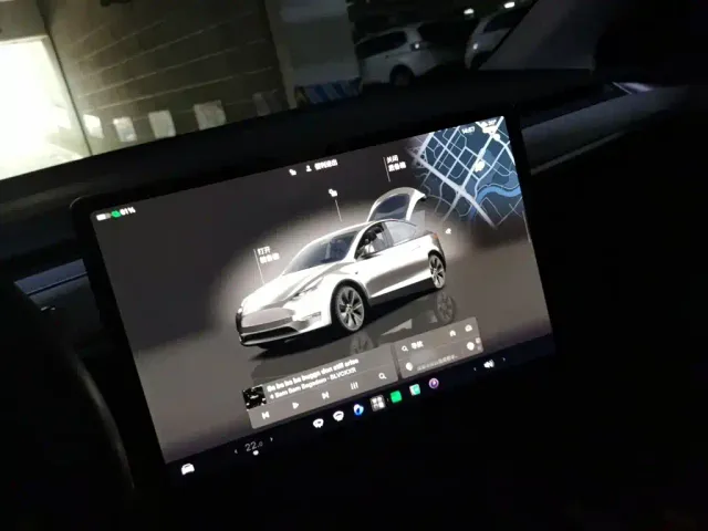 Tesla Model Y — Фото автомобиля 3