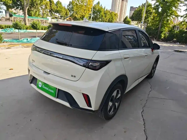 BYD Dolphin — Фото автомобиля 4