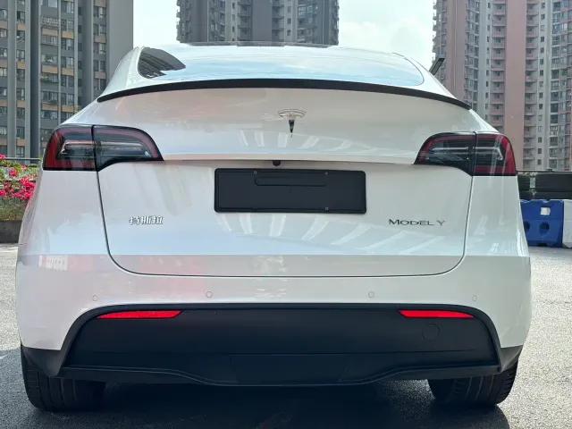 Tesla Model Y — Фото автомобиля 5