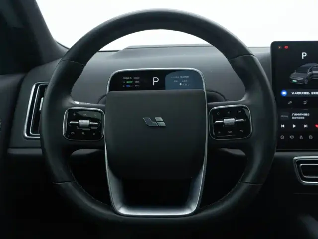 Li Auto L9 — Фото автомобиля 25