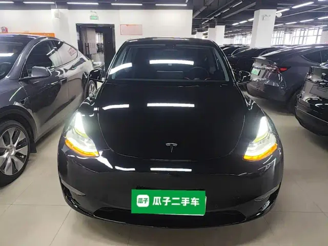 Tesla Model Y — Фото автомобиля 2