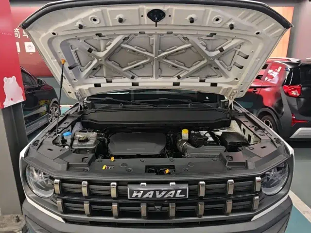 Haval Cool Dog — Фото автомобиля 19