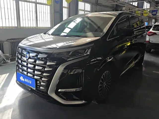Фотография автомобиля — Denza D9