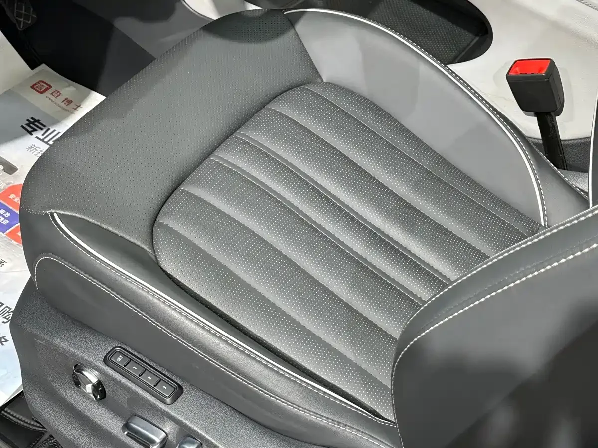 Volkswagen Teramont 2023 380TSI AWD Premium Luxury Edition — Фото автомобиля 10