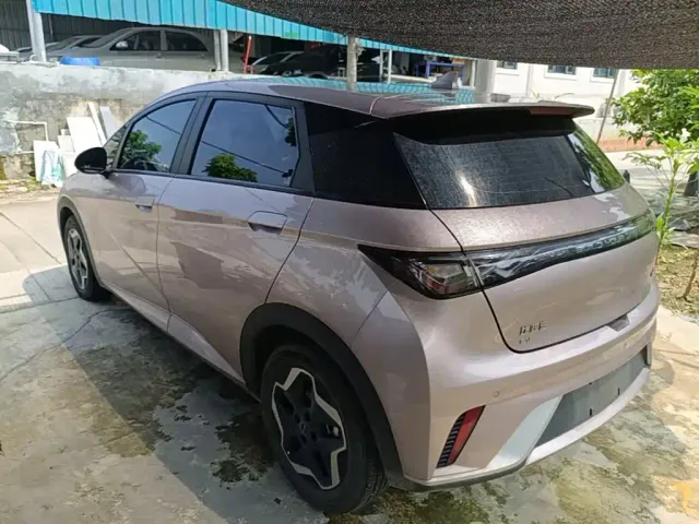 BYD Dolphin — Фото автомобиля 4