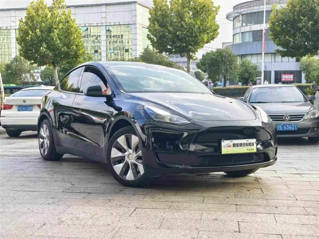 Tesla Model Y — Фото автомобиля 3