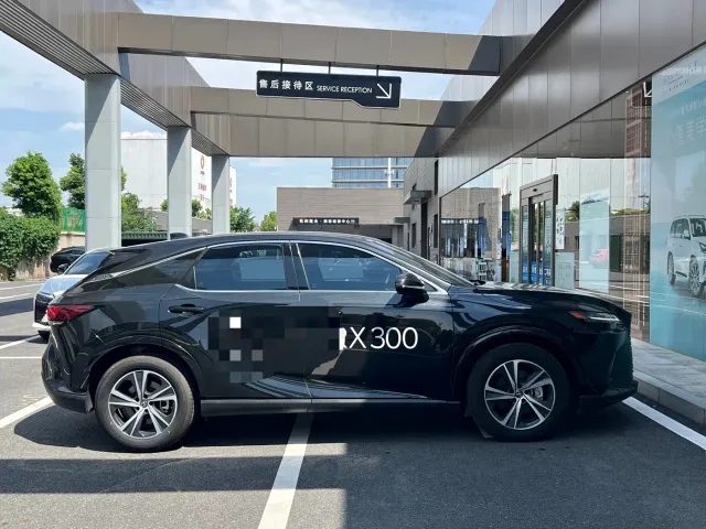 Lexus RX — Фото автомобиля 13
