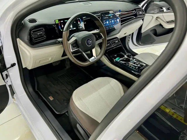 BYD Qin PLUS — Фото автомобиля 9
