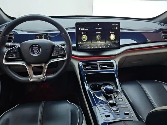 BYD Qin PLUS — Фото автомобиля 12