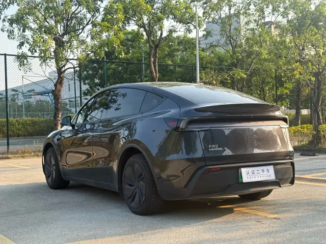 Tesla Model Y — Фото автомобиля 9