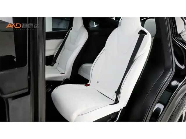 Tesla Model X — Фото автомобиля 7