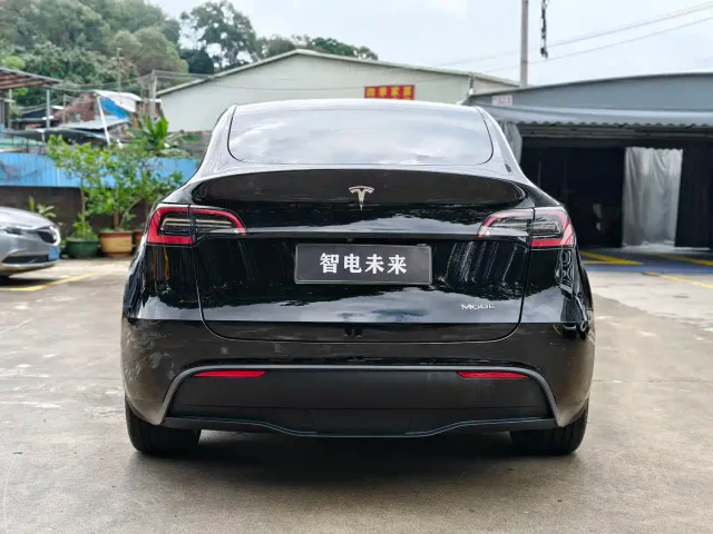 Tesla Model Y — Фото автомобиля 3