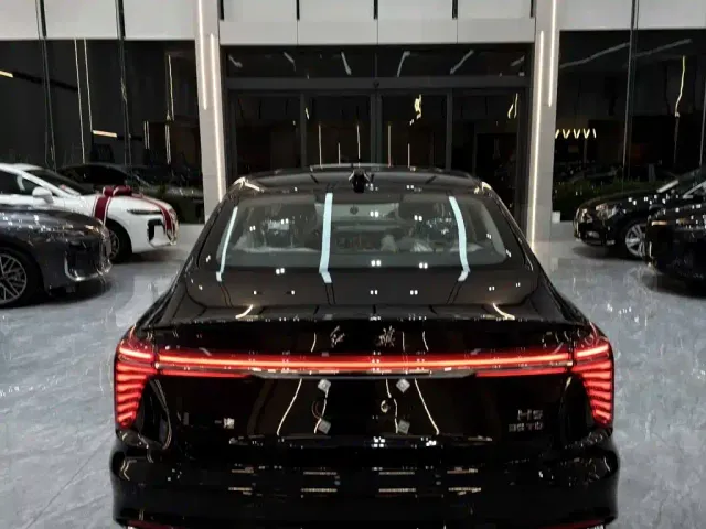 Hongqi H5 — Фото автомобиля 20