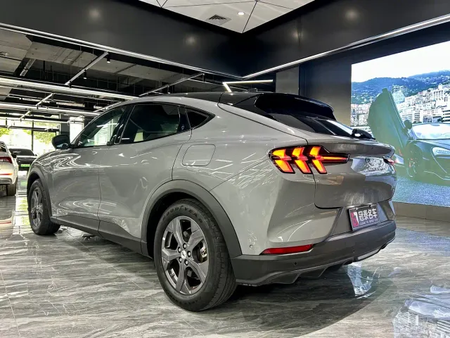 Ford Mustang Mach-E — Фото автомобиля 7